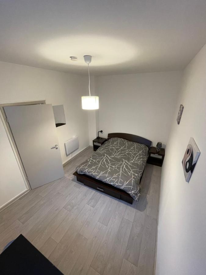 Superbe Appartement Renove Au Centre De فورباخ المظهر الخارجي الصورة